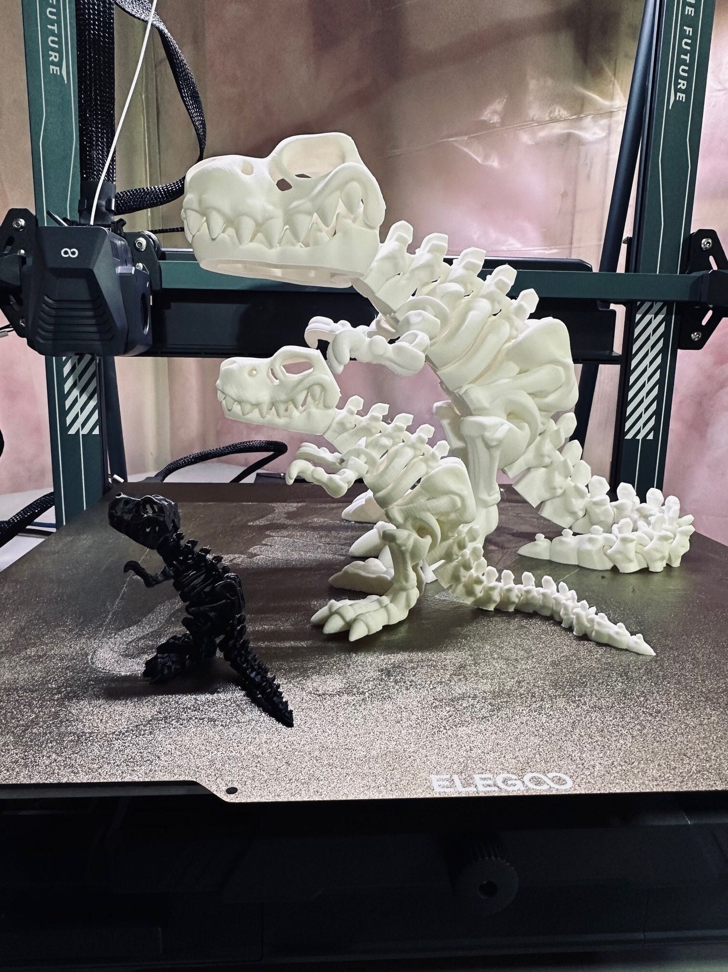 Flexi Rexi Skeleton