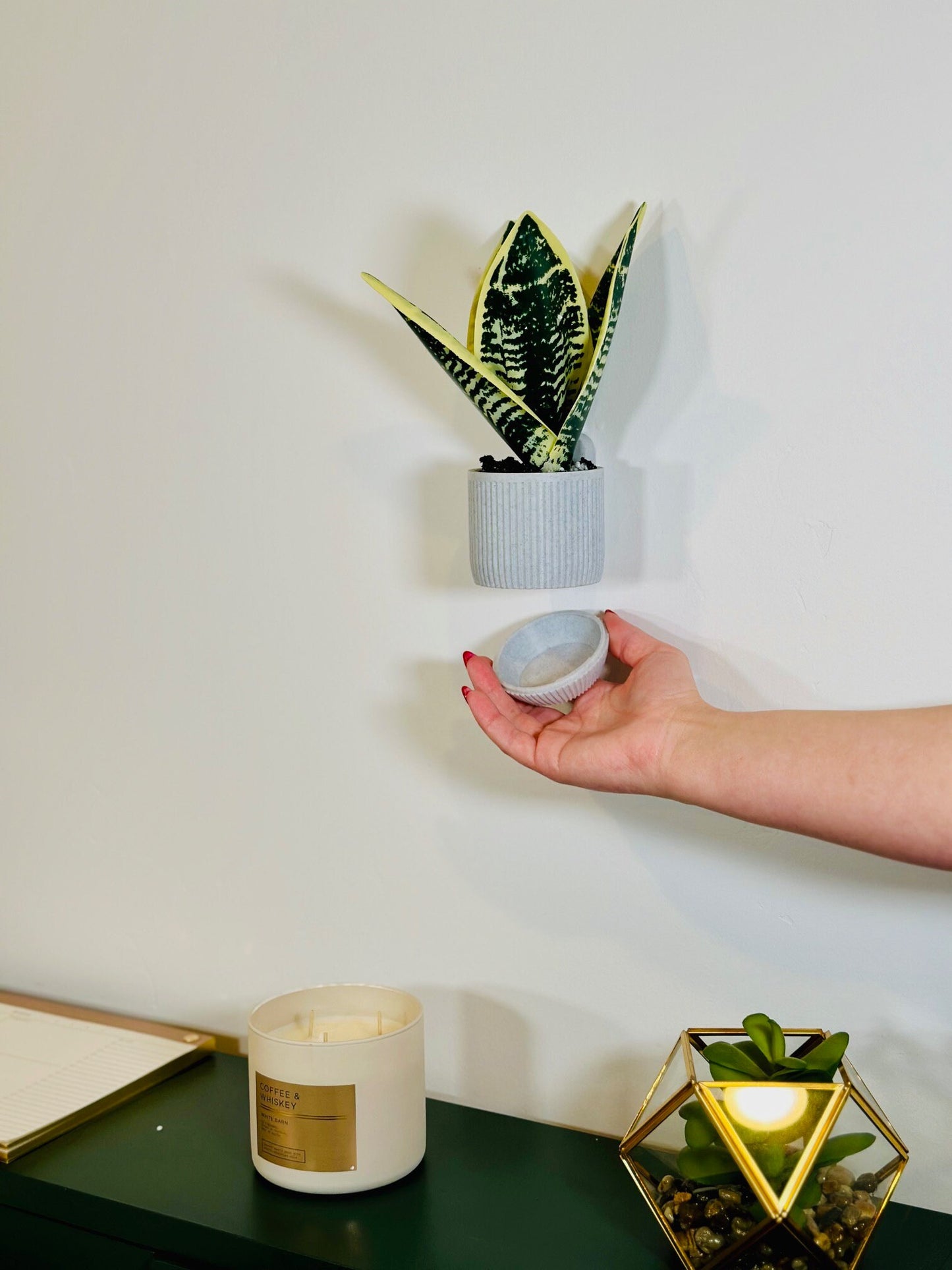 Modern Indoor Wall Planter