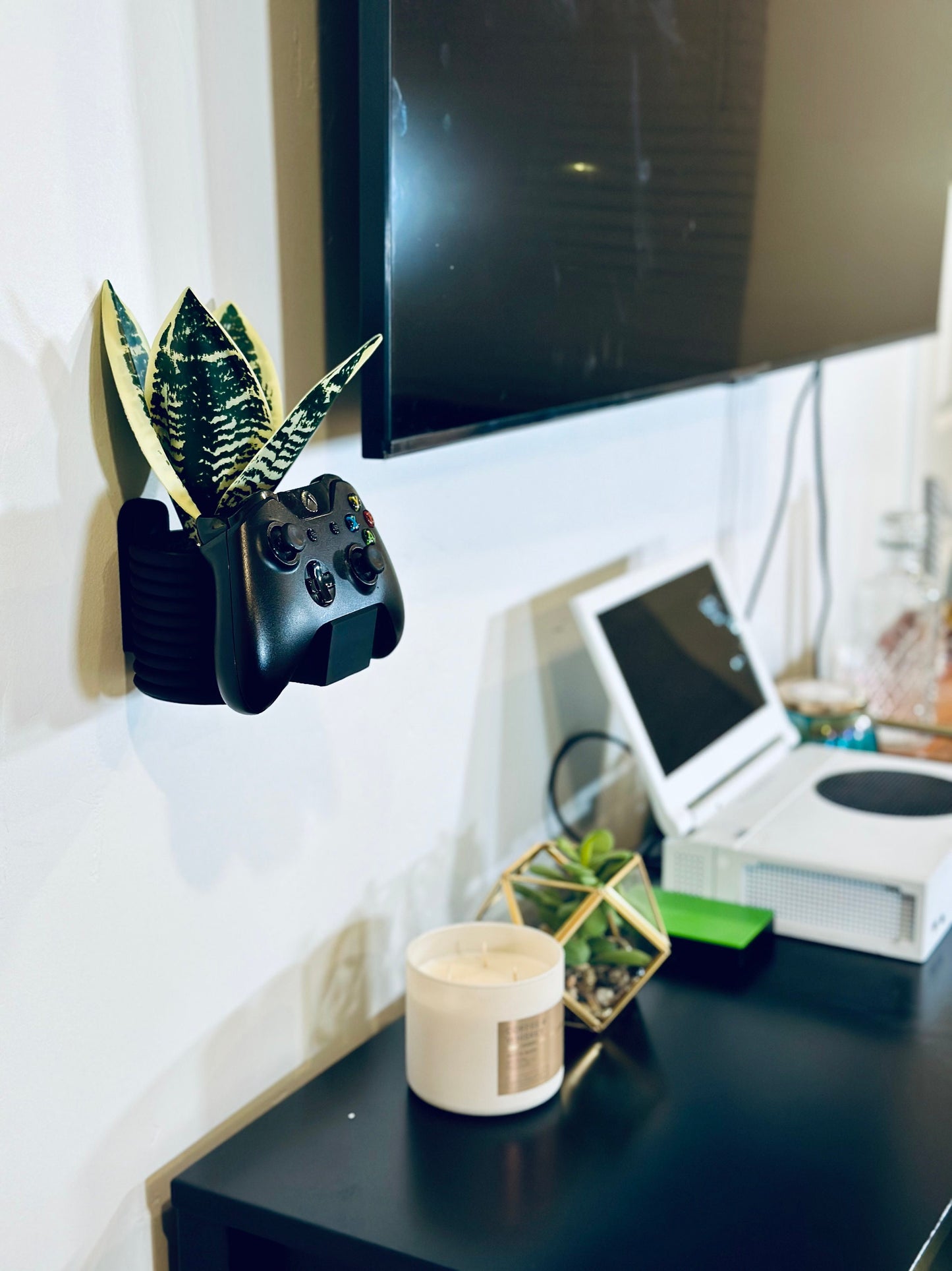 Wall Mounted Plant and Controller Holder