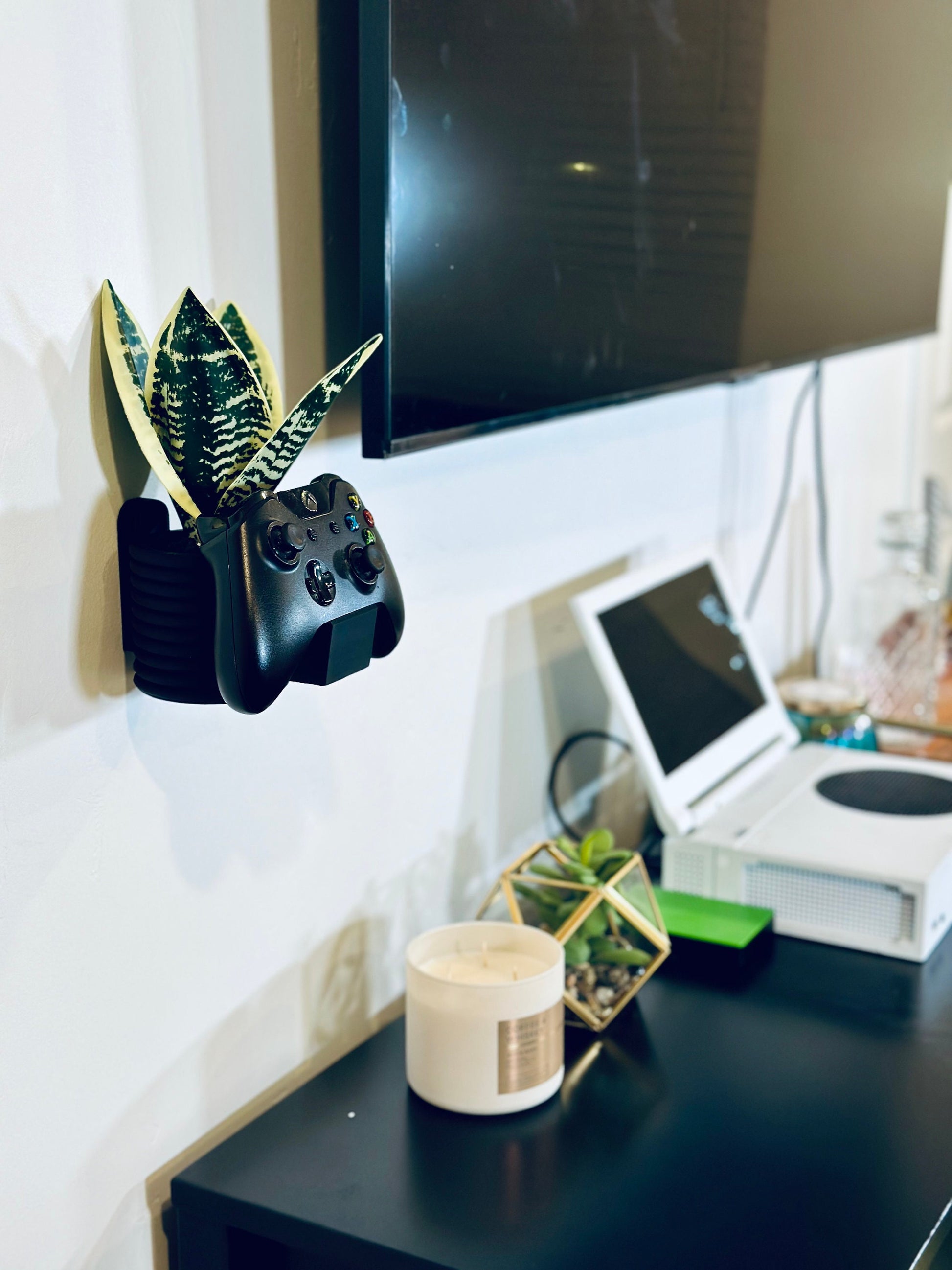 Wall Mounted Plant and Controller Holder