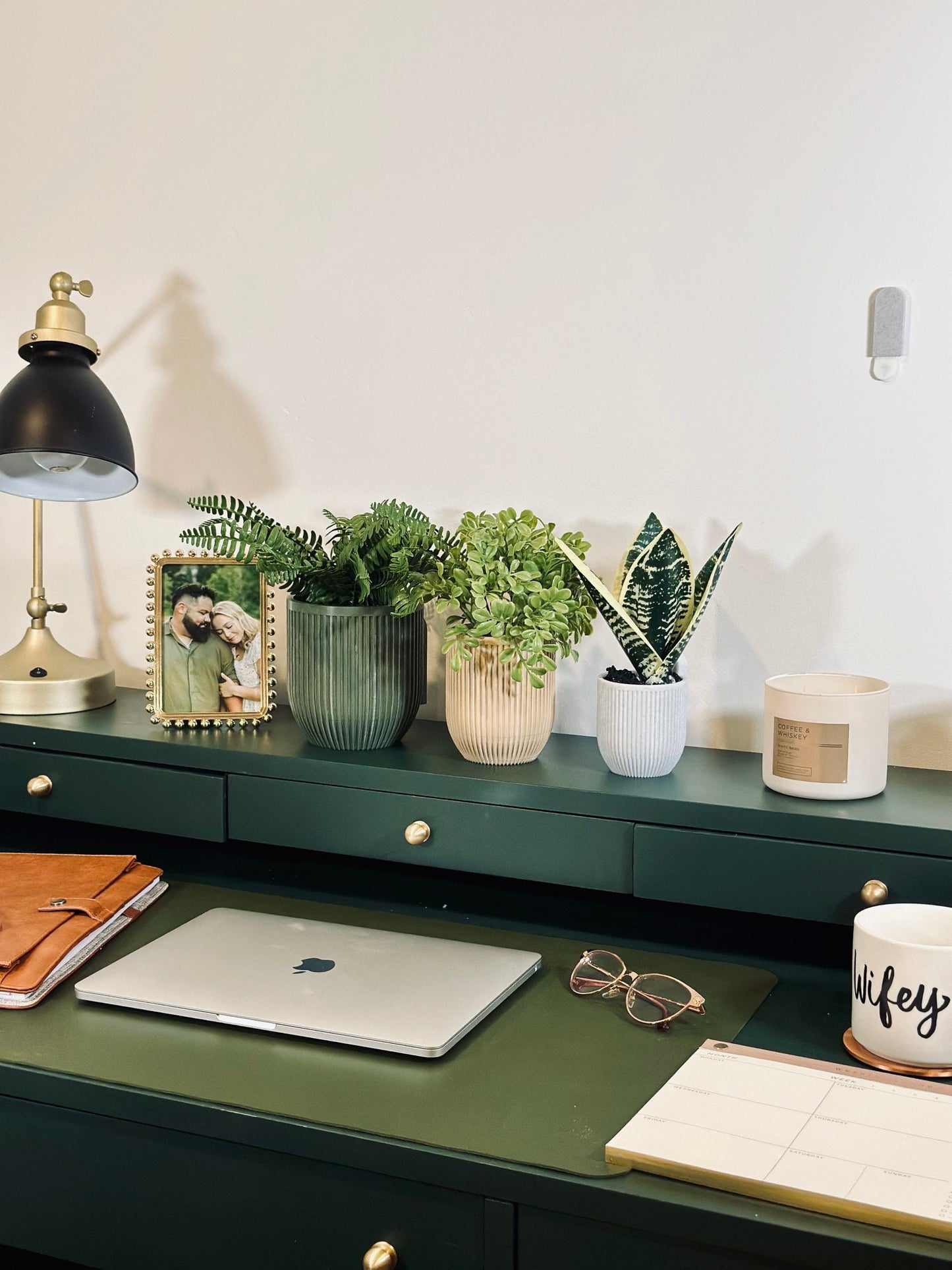Modern Indoor Wall Planter