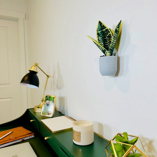 Modern Indoor Wall Planter